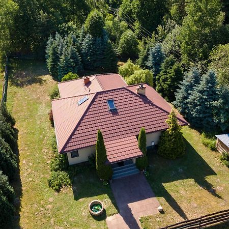 Forest Villa - Pokoje W Poblizu Suntago Krzyzowka  Exterior foto